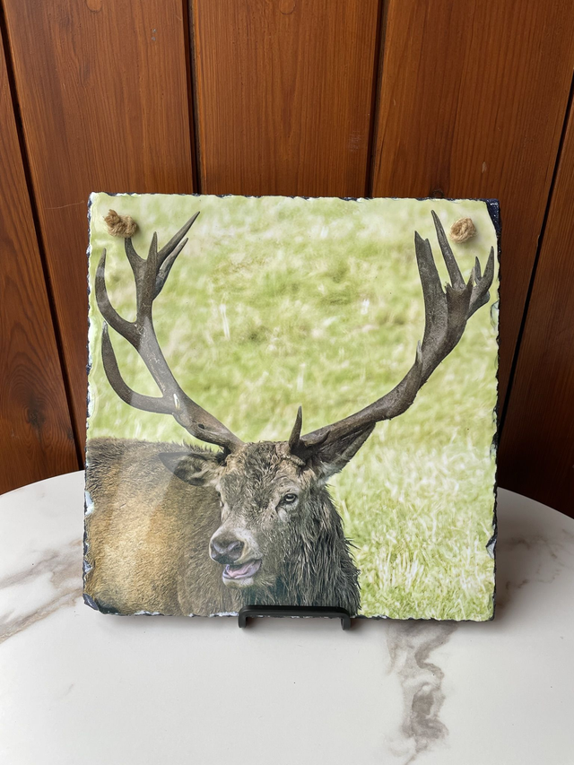 SALE! Photographic Slate