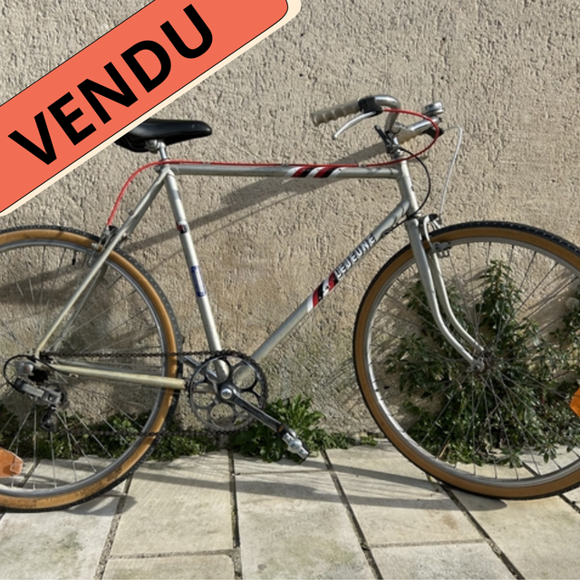 Léo - Vélo d&#039;occasion