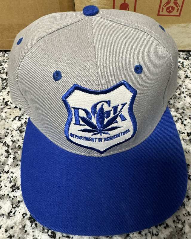 Gorra Gris y Azul