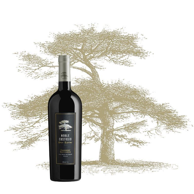 Caja Cabernet Sauvignon Gran Reserva - 6 UN