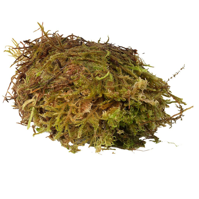 HABISTAT SPHAGNUM MOSS 1KG