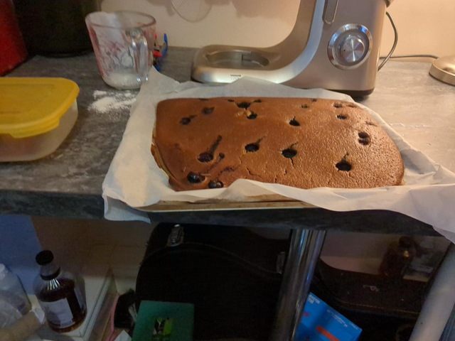 Lemon &amp;Ginger &amp; Blueberry Sponge Slices 