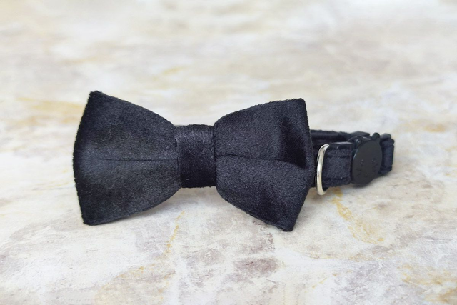Velvet Black Collar