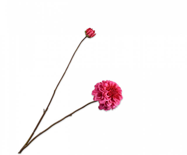 Silk-Ka Dahlia Tak Beauty 86cm