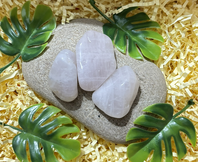 PIERRE ROULÉE QUARTZ ROSE 3-5cm