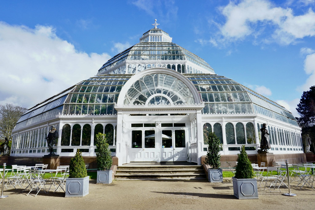 Palm House in blue - Print