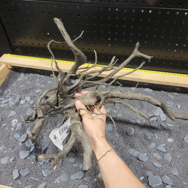 Sf black spiderwood L 8715897342424