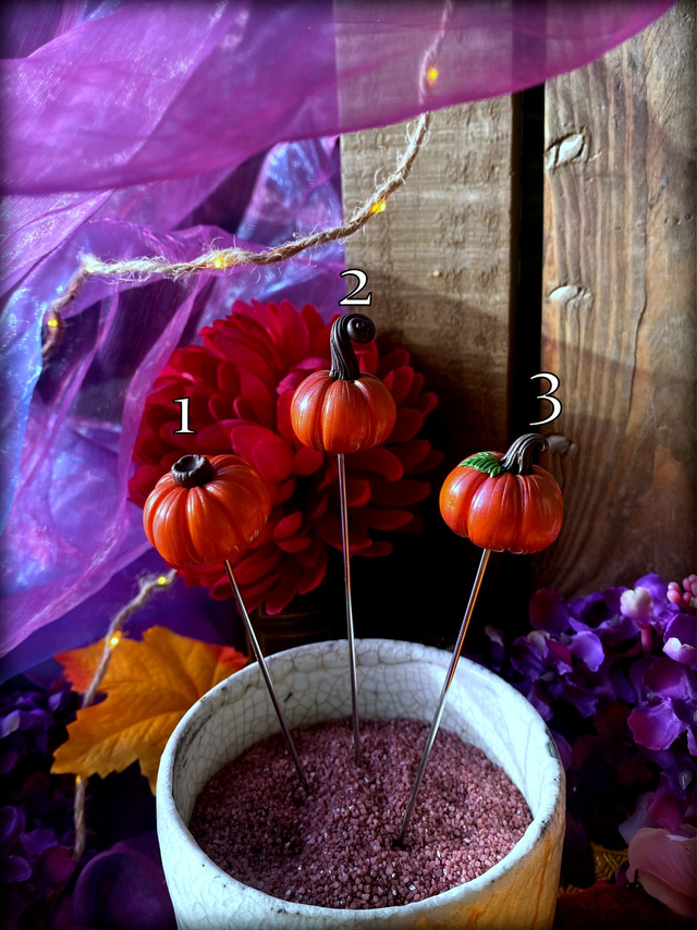 Pics à plantes décoratifs - Mini citrouilles