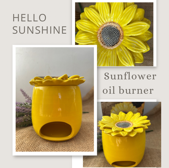 Sunflower oil burner 
