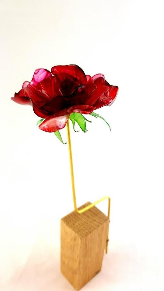 Présentation florale