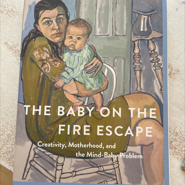 Baby On The Fire Escape Julie Phillips
