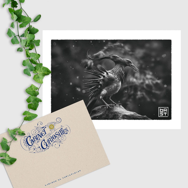 Moa Dinornithiformes