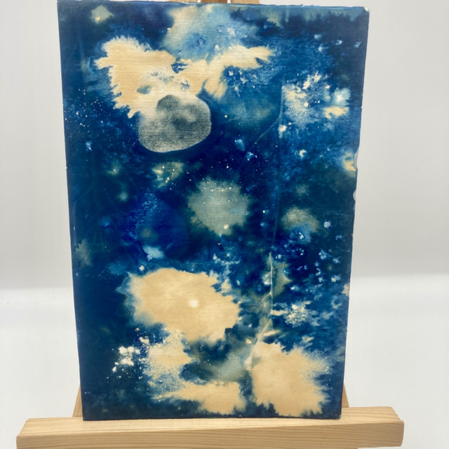 Original Wet Cyanotype