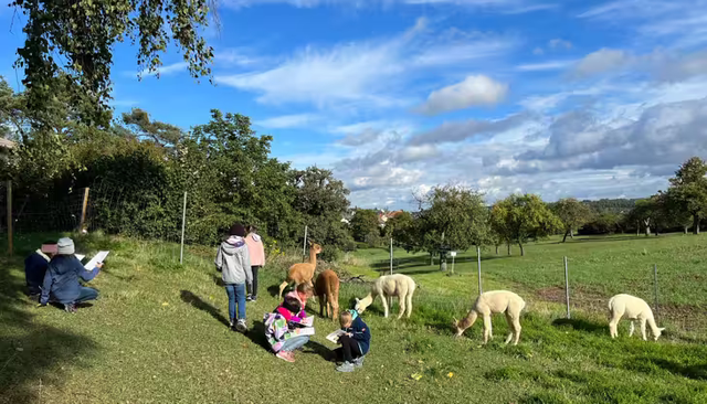 Kindergeburtstag bei Alpakas, 7-10 Jahre. Bis 10 Kinder