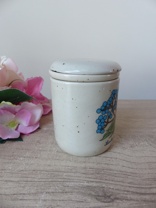 Tisanière Vintage en Grès Mouchetté – Décor Botanique Baies de Sureau Noir – Tasse avec Filtre et Couvercle – Style Campagne et Bohème