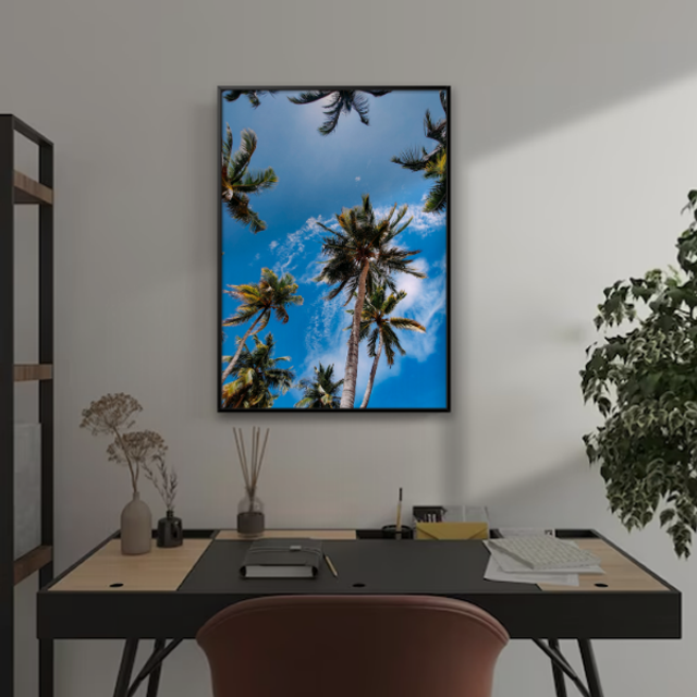 Céu Azul, Palmeiras