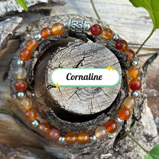 Bracelet de Cornaline 