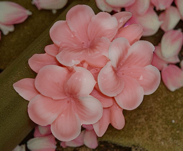 Fondant parfumé "Vanille épicée"