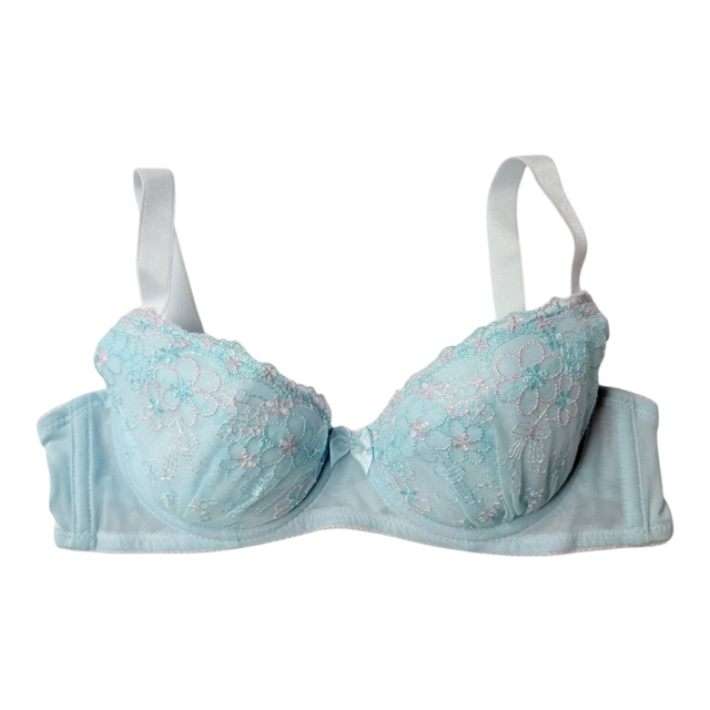 Blue and Pink Embroidered Japanese Bra UK 34D, UK 34A