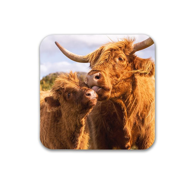 Mother Knows Best, Peak District