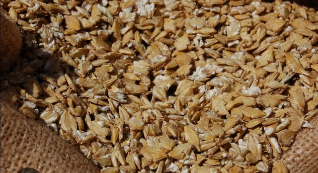 Crushed Barley/ Orge aplatie 20kgs