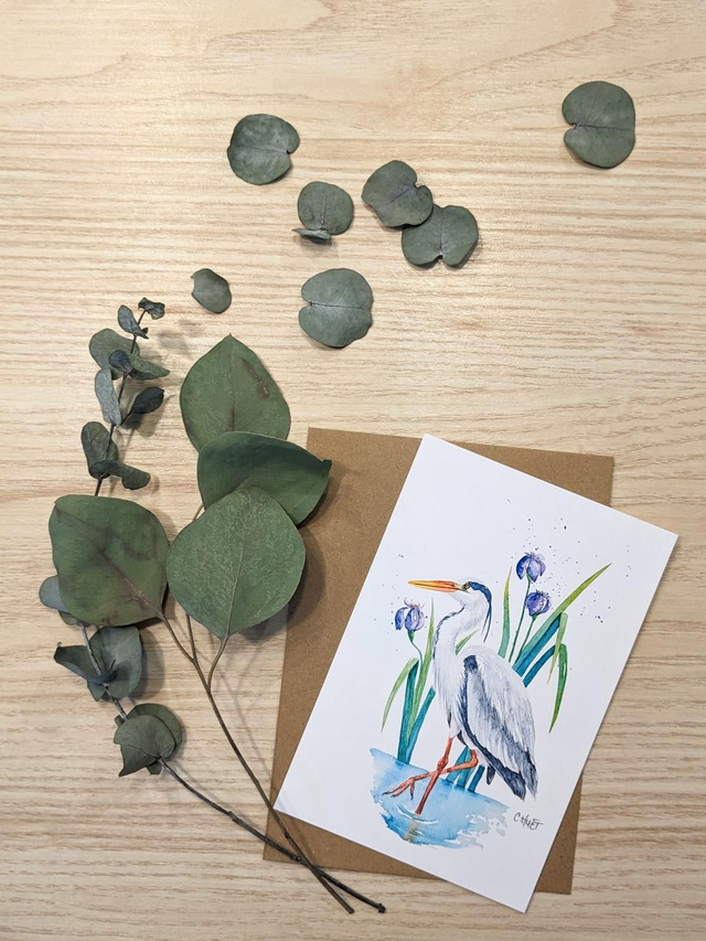 Cartes postales à l'aquarelle, hérons divers motifs