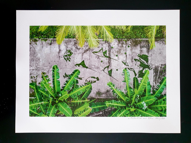 A "Una-Una Green Trip"