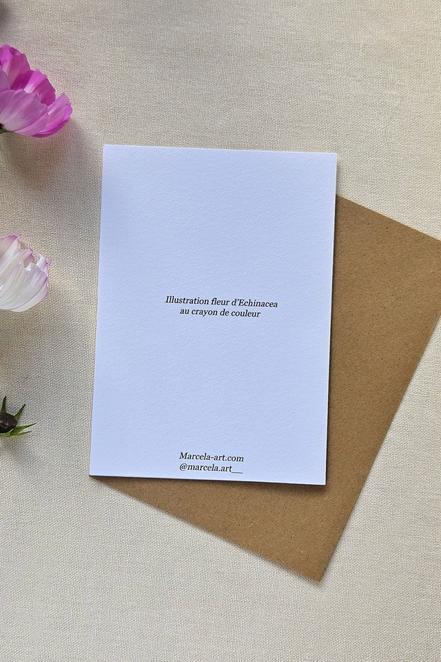 Carte au crayon de couleur - Fleur d'échinacée