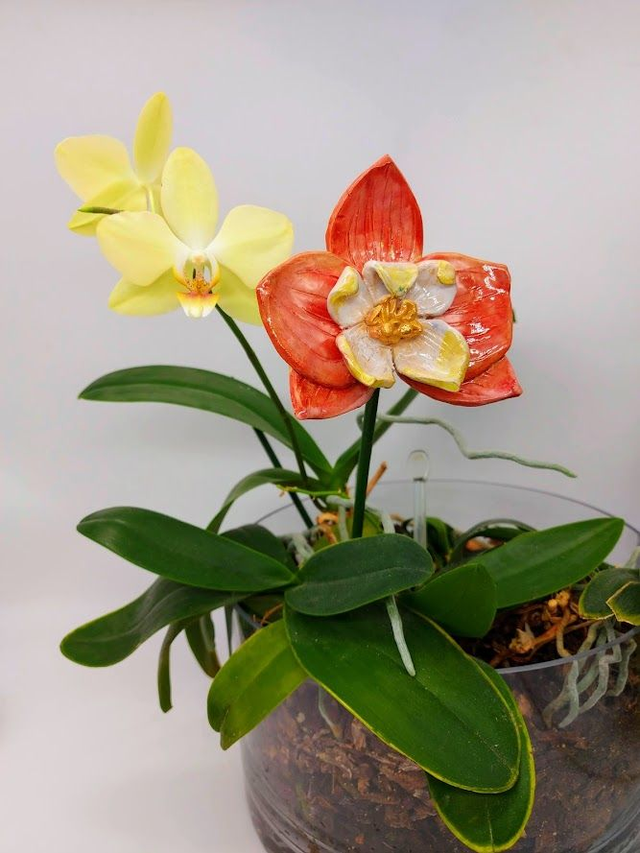 Ceramic Orchid Flower Wall Hanger