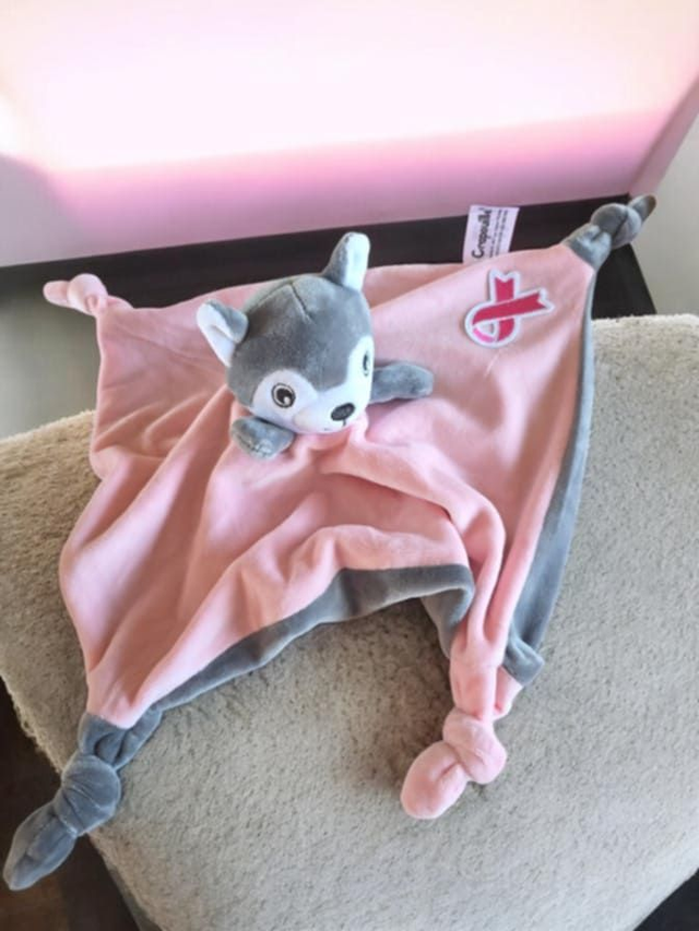 Doudou Plat Mr Loup " ensemble contre le cancer "  ruban 