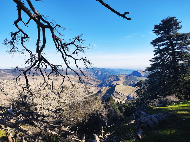 Pico Torrecilla por la Cañada de las Animas
