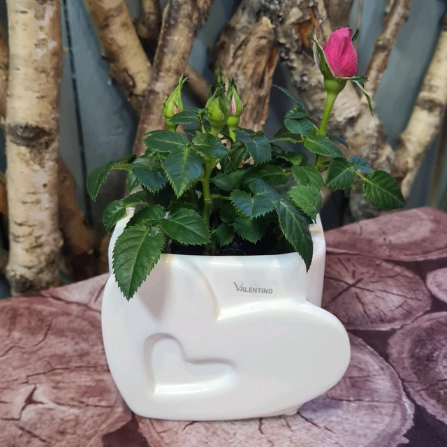 Valentino Pflanztopf mit Herz glasiert 