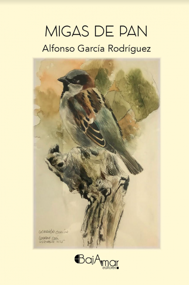 LIBRO MIGAS DE PAN DE ALFONSO GARCÍA RODRÍGUEZ 