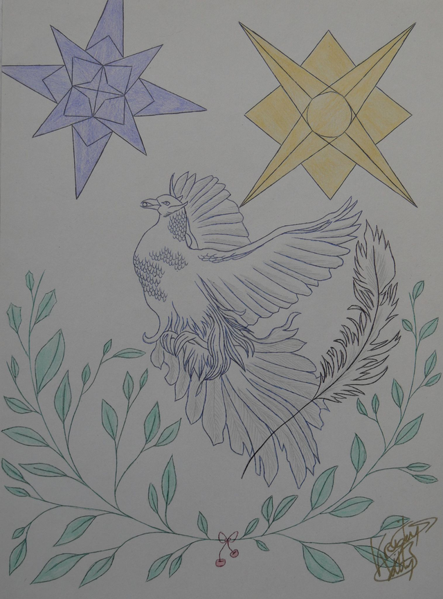 oiseau de la lune et du soleil