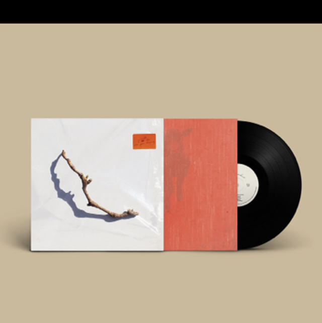 PJ Harvey-I Inside the old Year Dying