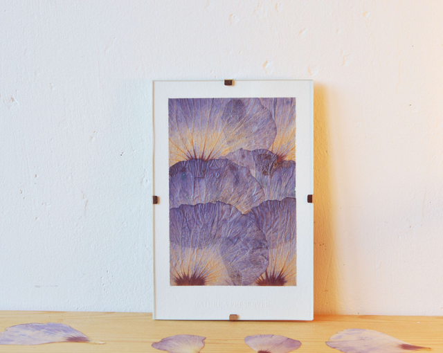 Tableau 10*15 cm - Mini herbier hibiscus