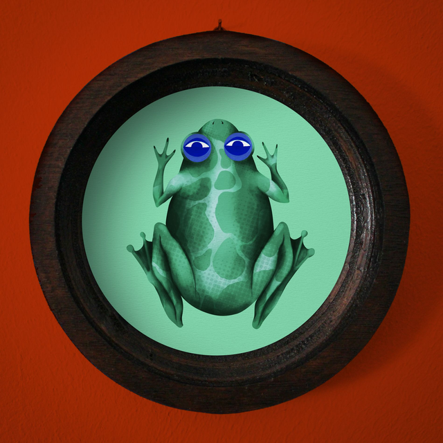 Cadre "Grenouille verte"