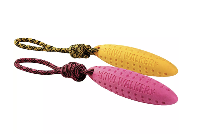 Zeppelin von Kiwi Walker