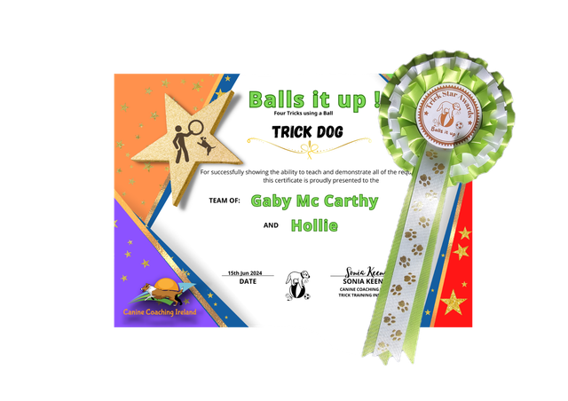 Balls It up - Cert &amp; Rosette  