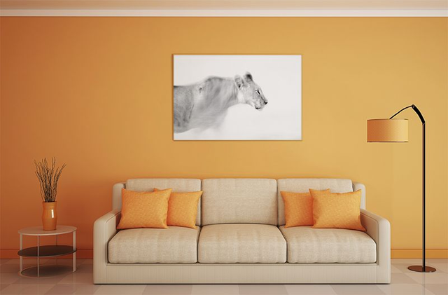 Tirage "Fantôme du désert"