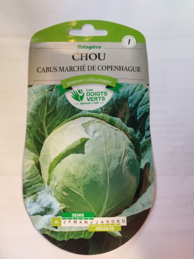 Chou Cabus Marché de Copenhague