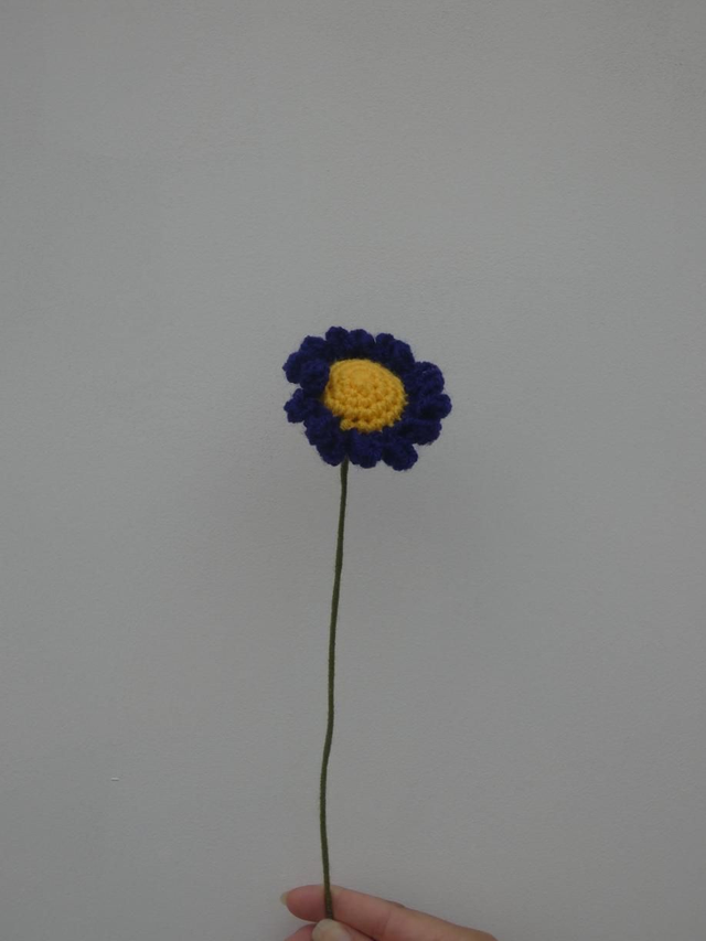 Marguerite violette foncé 