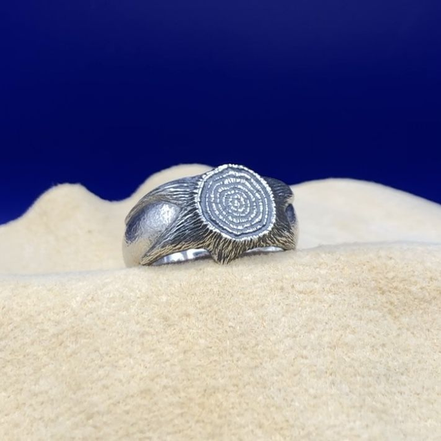 61・Bague・Souche
