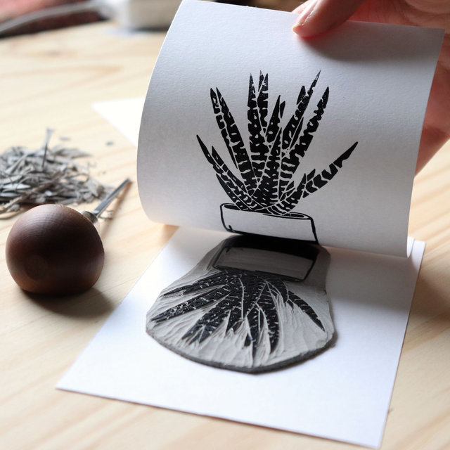 Linogravure A6 Haworthia