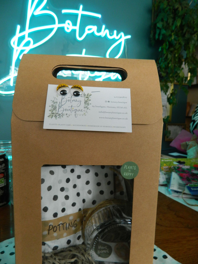 Mini Plant Parent Set