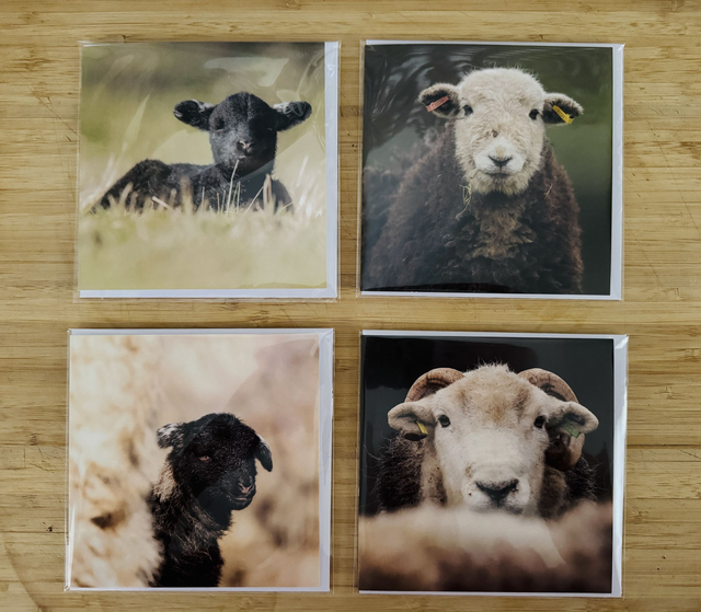 Greetings cards (Pack of 4)