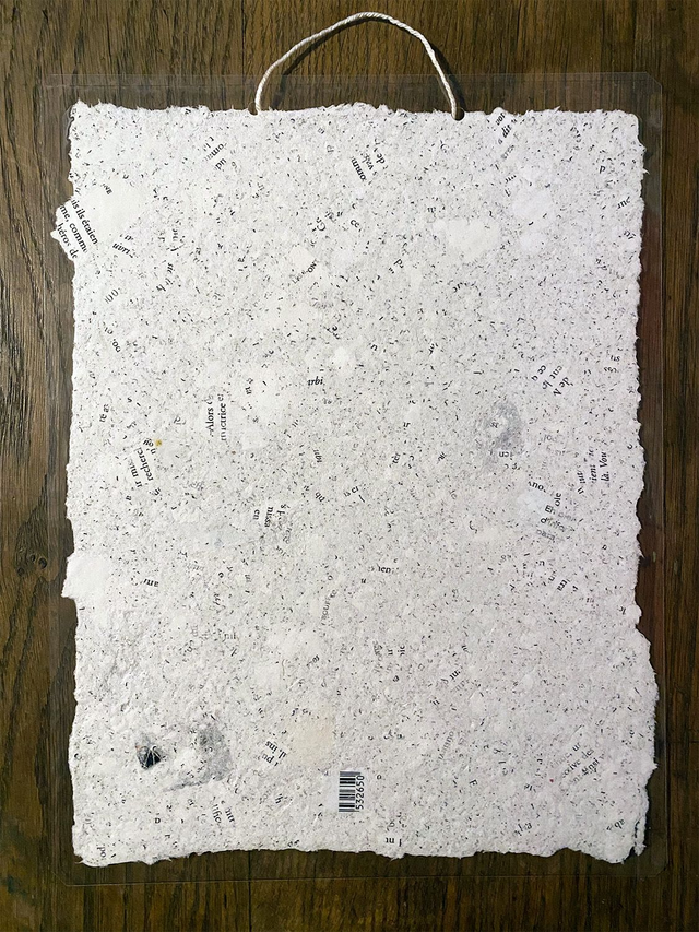 La bouffonnerie de l’art contemporain, recyclée