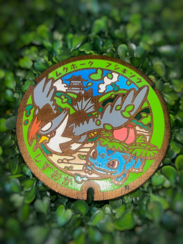 Plaque Pokémon Herbizarre et Etouraptor.