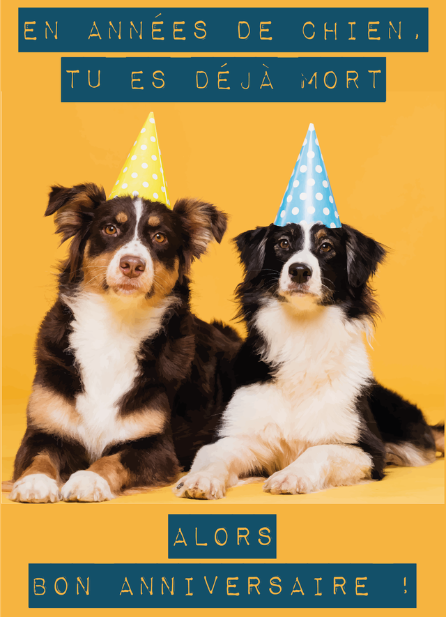 Carte Anniversaire En années de chien tu es déjà mort
