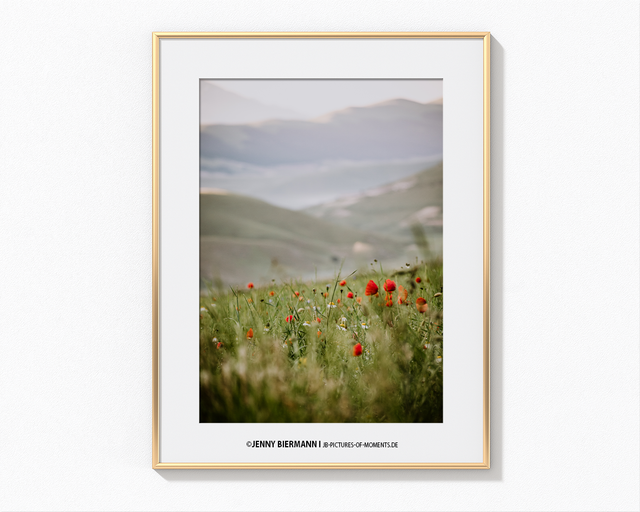 Castelluccio di Norcia 2